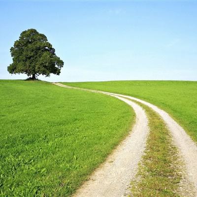 助赢软件app下载